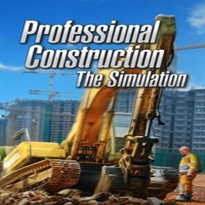 Professional Construction The Simulation