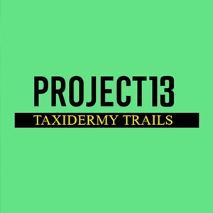 Project 13 Taxidermy Trails Pc