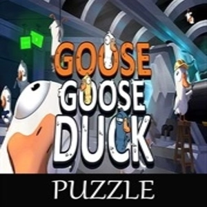 Puzzle For Goose Goose Duck