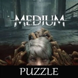 Puzzle For The Medium