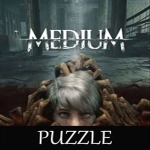 Puzzle For The Medium Pc
