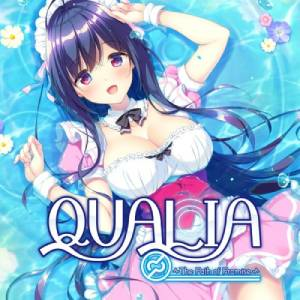 QUALIA The Path of Promise Switch
