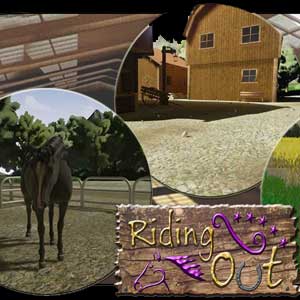 Buy Riding Out CD Key Compare Prices