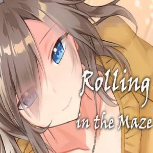 Buy Rolling in the Maze CD Key Compare Prices
