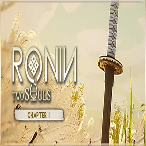 RONIN Two Souls Pc