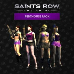 Saints Row The Third Penthouse Pack