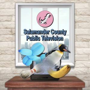 Buy Salamander County Public Television PS4 Compare Prices