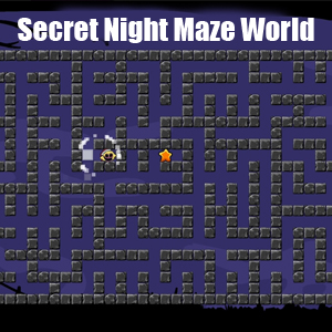 Buy Secret Night Maze World Xbox Series Compare Prices