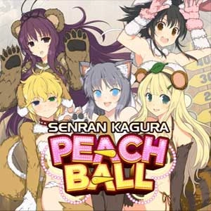 SENRAN KAGURA Peach Ball New Accessories Quintet Pc
