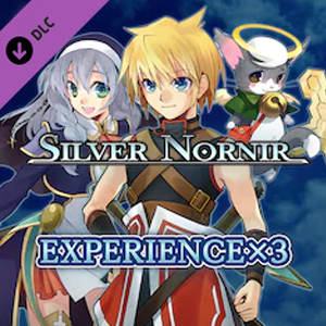 Silver Nornir Experience x3 Switch