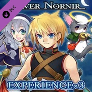 Silver Nornir Experience x3 Pc