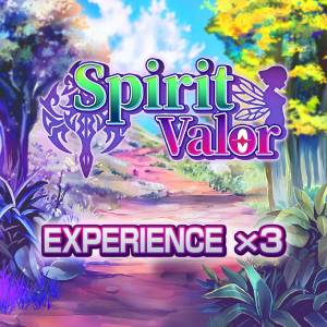 Spirit Valor Experience x3 Pc