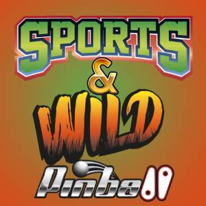 Buy Sports & Wild Pinball Nintendo Switch Compare Prices