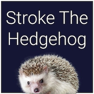 Buy Stroke The Hedgehog PS4 Compare Prices