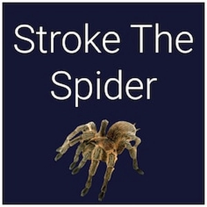 Stroke The Spider Playstation 4