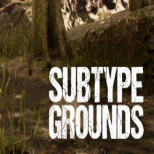 Buy Subtype Grounds CD Key Compare Prices