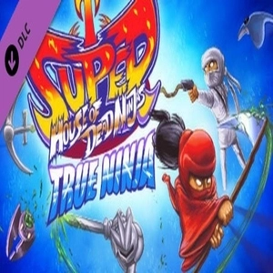Super House of Dead Ninjas True Ninja Pack Pc