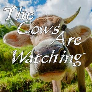 The Cows Are Watching Pc