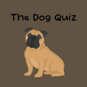 Buy The Dog Quiz PS4 Compare Prices