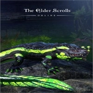 The Elder Scrolls Online Newcomer Pack
