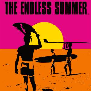 Buy The Endless Summer Surfing Challenge CD Key Compare Prices