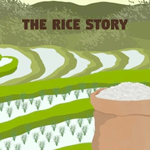The Rice Story