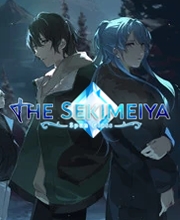 Buy The Sekimeiya Spun Glass Nintendo Switch Compare Prices