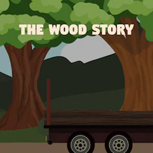 Buy The Wood Story PS4 Compare Prices