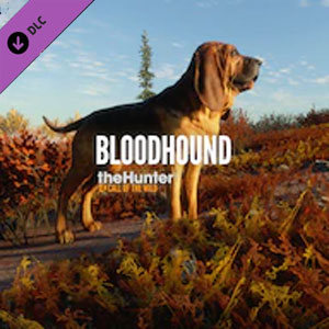 Buy theHunter Call of the Wild Bloodhound Xbox One Compare Prices