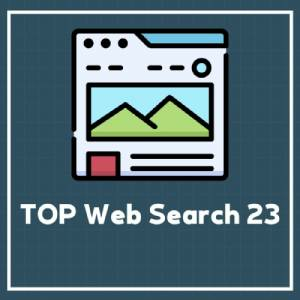 TOP Web Search 23