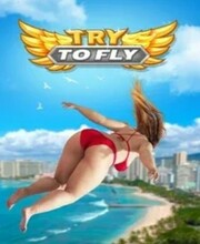 Try to Fly Pc