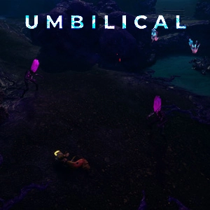 Umbilical Switch