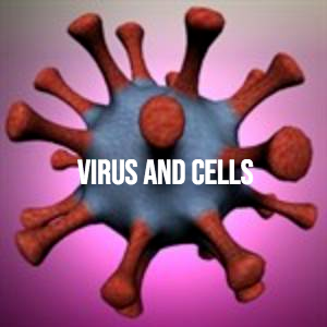 Buy Virus And Cells CD KEY Compare Prices