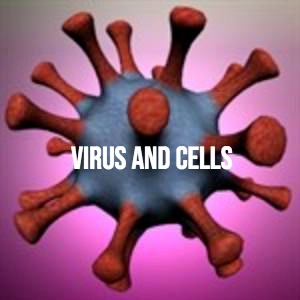 Virus And Cells