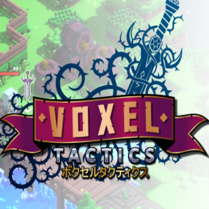 Voxel Tactics