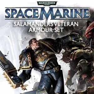 Warhammer 40k Space Marine Salamanders Veteran Armour Set