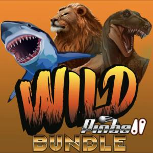 Wild Pinball Bundle Playstation 5