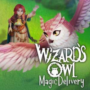 Wizards Owl Magic Delivery Pc