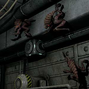 Creatures on the wall