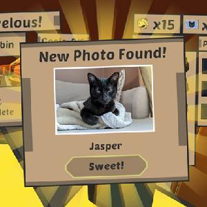 Catlateral Damage Remeowstered - Jasper