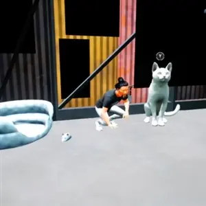 Cats Ritual - Puzzle Solving