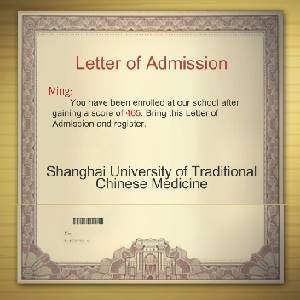 Chinese Parents - Letter of Admission