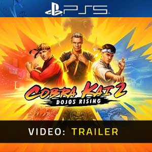 Cobra Kai 2  The Video Game