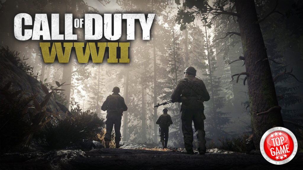  Call of Duty WW2 Beta Bug Cover