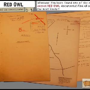 Cosmic Top Secret - Red Owl Documents