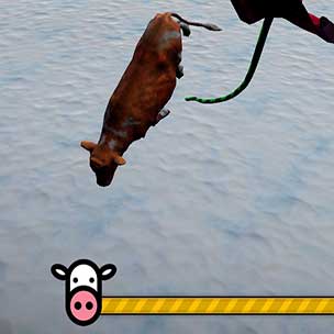 Stealing amazing cow