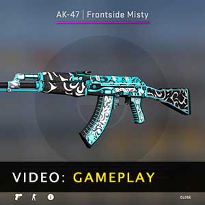 CSGO AK47 Skin Frontside Misty Gameplay Video