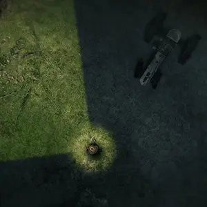 Darkwood Ruins
