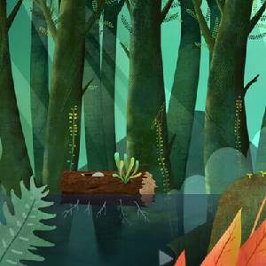 Deep in the Woods - Log