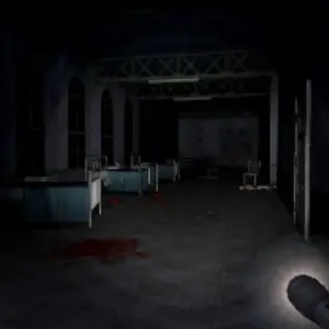 Dementium: The Ward - Flashlight